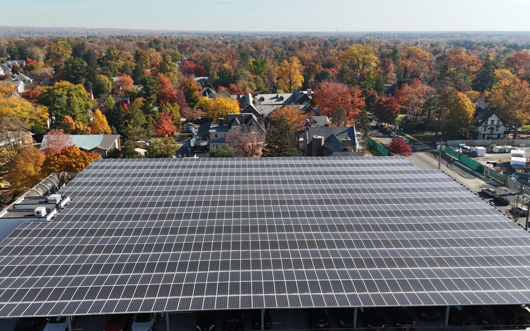 New Jersey University