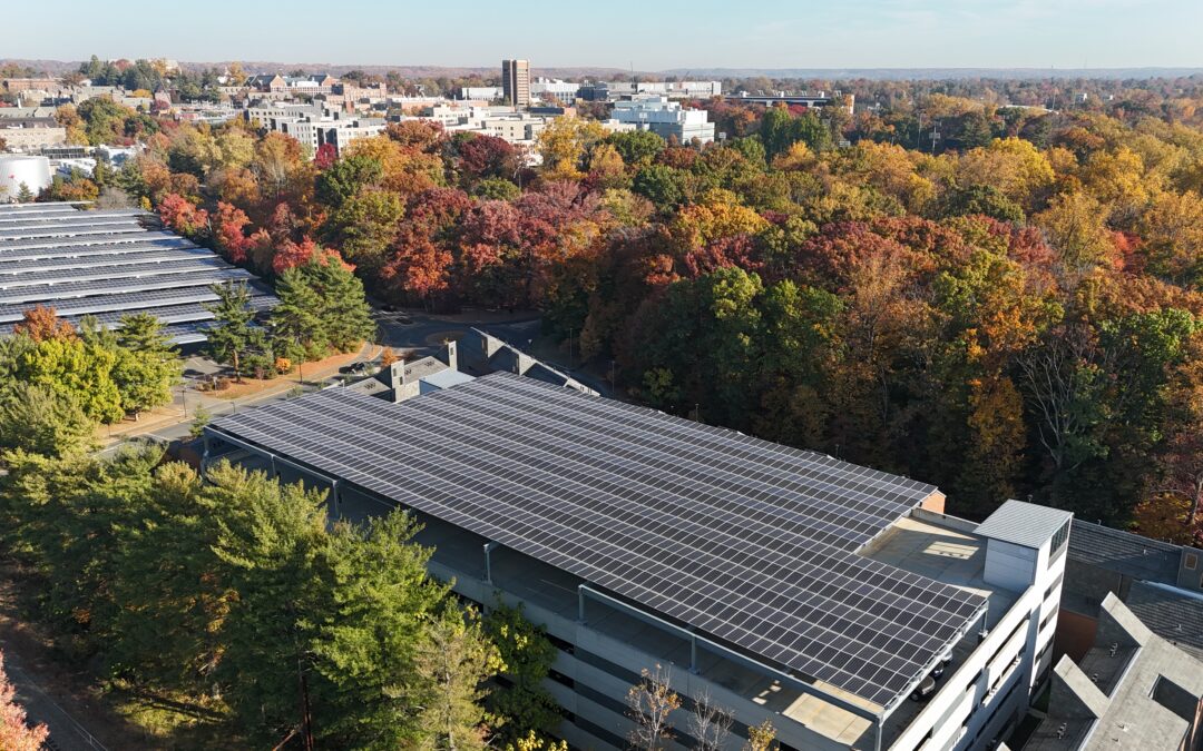 New Jersey University
